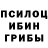 Псилоцибиновые грибы GOLDEN TEACHER Vedi Cay